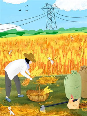 四合院舔狗看不起傻柱