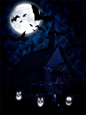 林芝趙廷琛最新章節